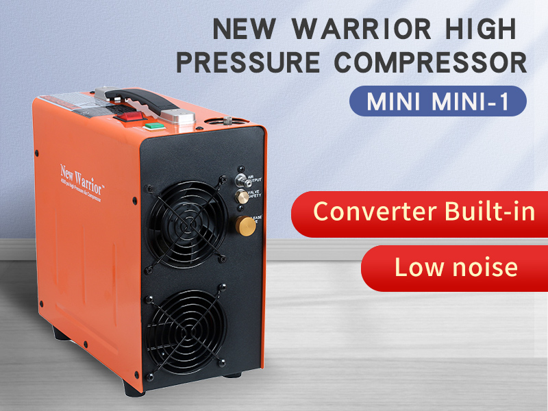 PCP Air Compressor with Auto-Stop 12v DC or 110V AC —
