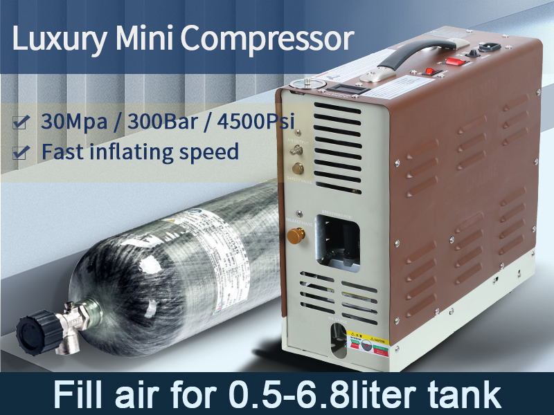 Luxury Mini Compressor